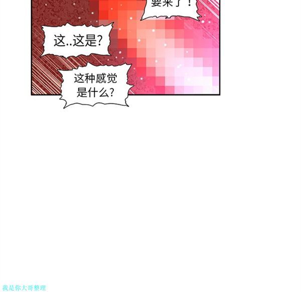 第41张