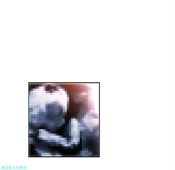 第5张