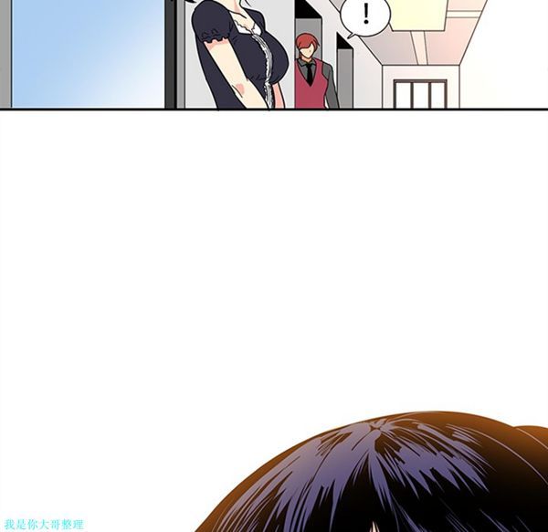 第52张