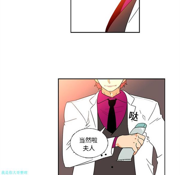 第37张
