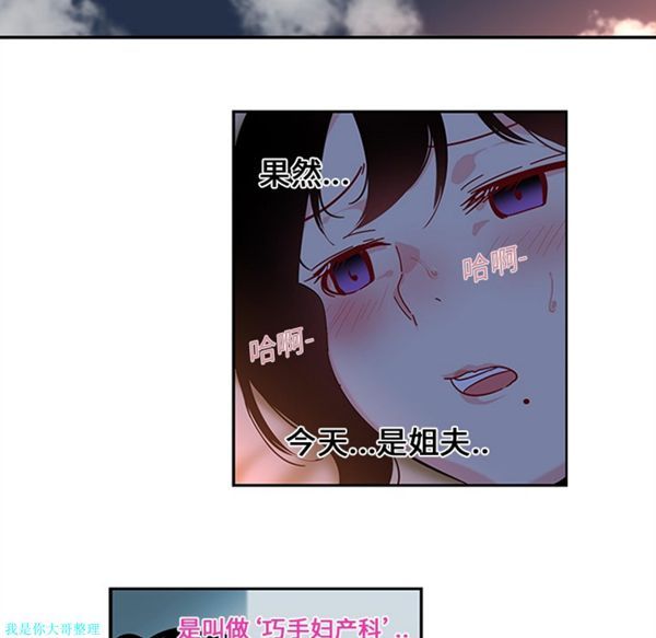 第53张