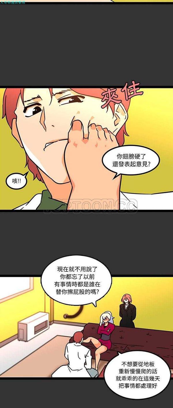 第19张