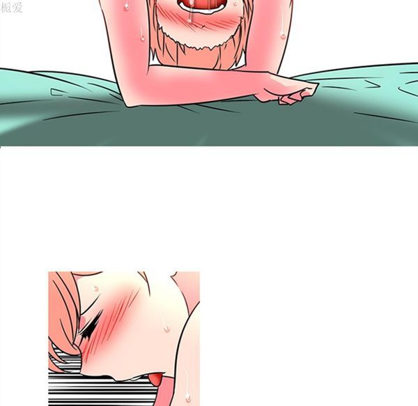 第48张