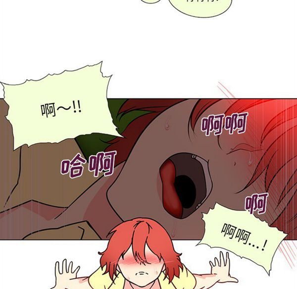 第29张