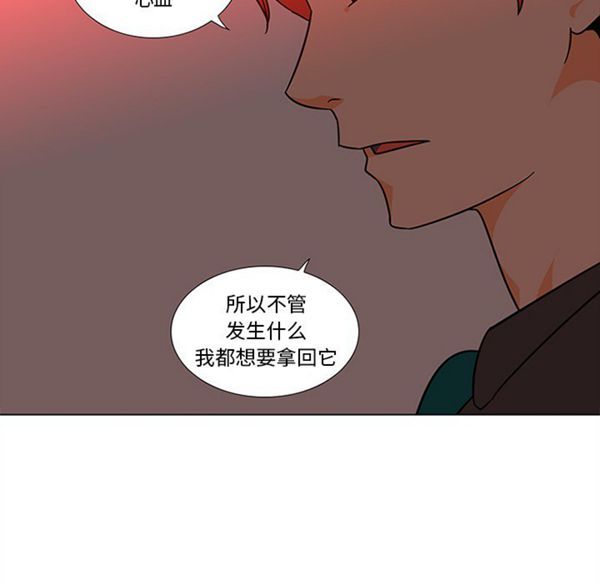第41张