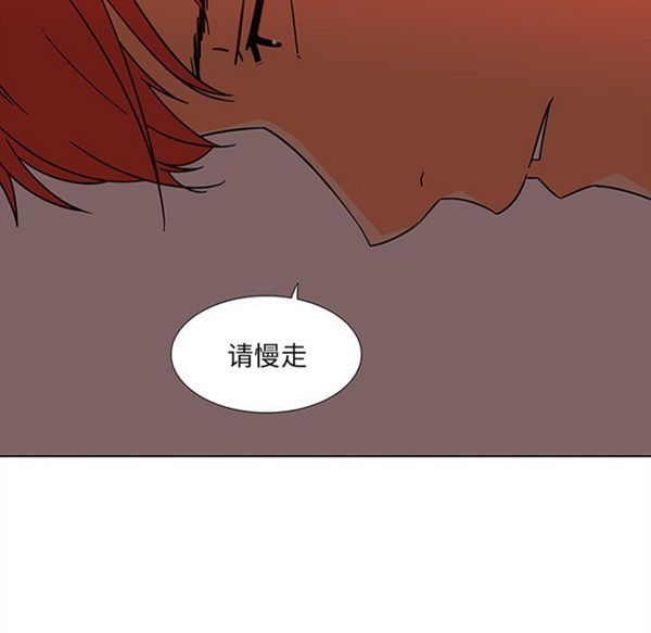 第48张