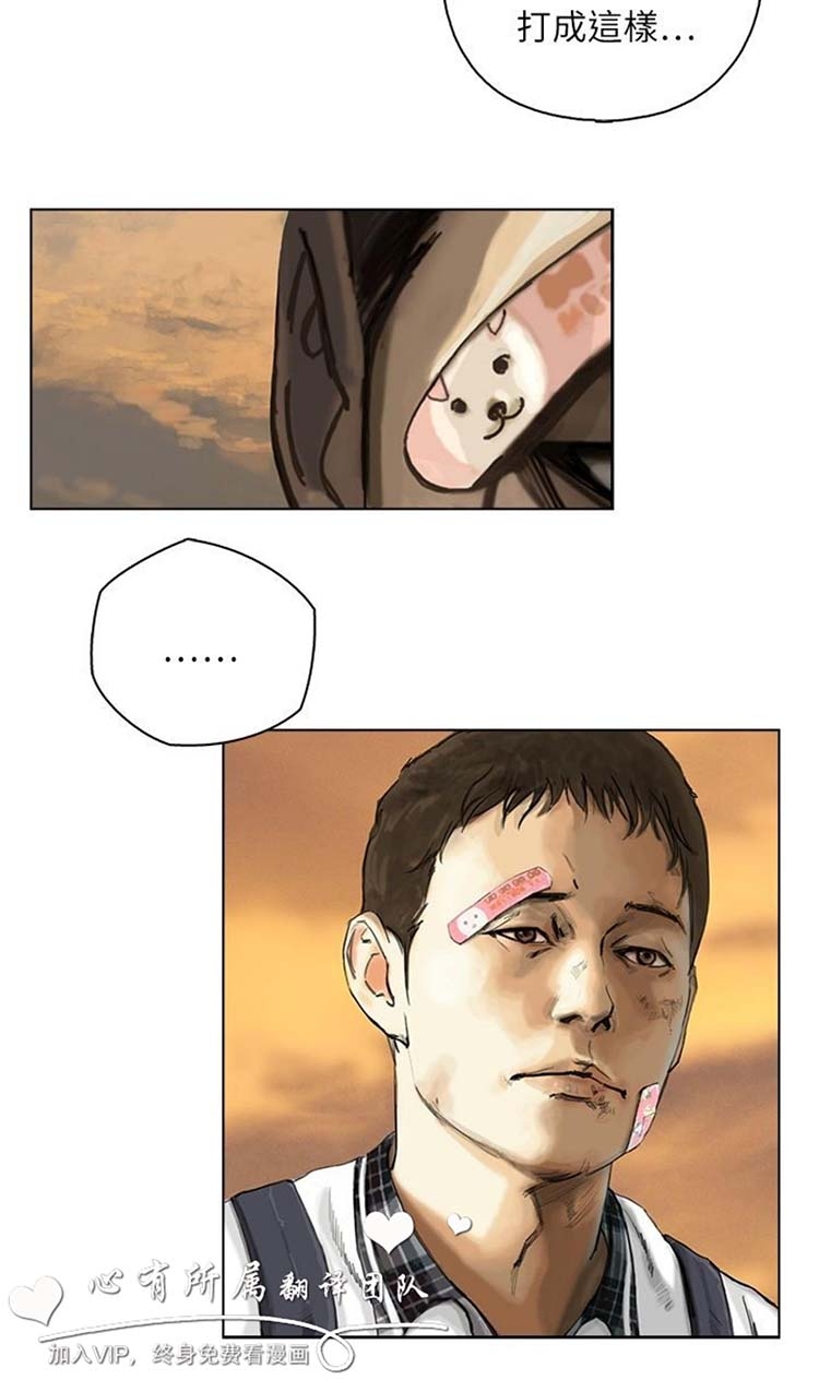 第41张