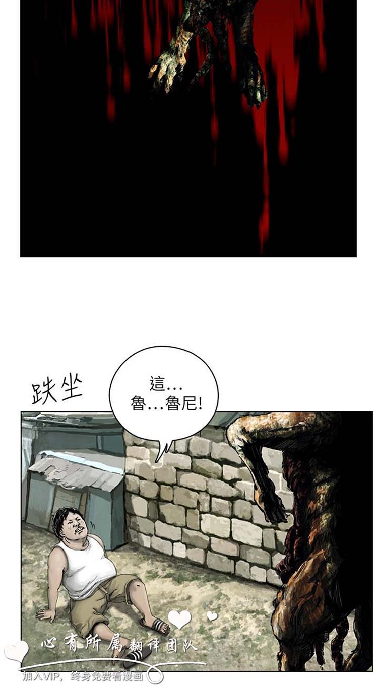 第21张