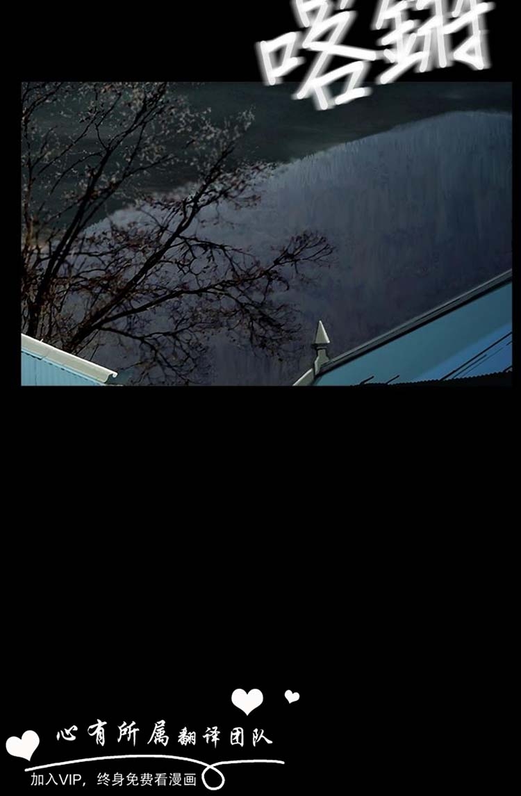 第43张