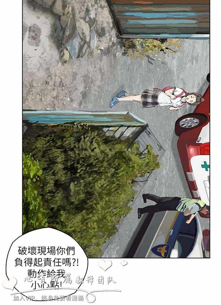 第19张