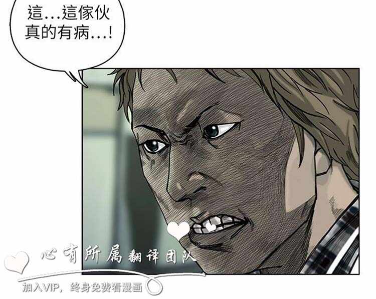 第43张