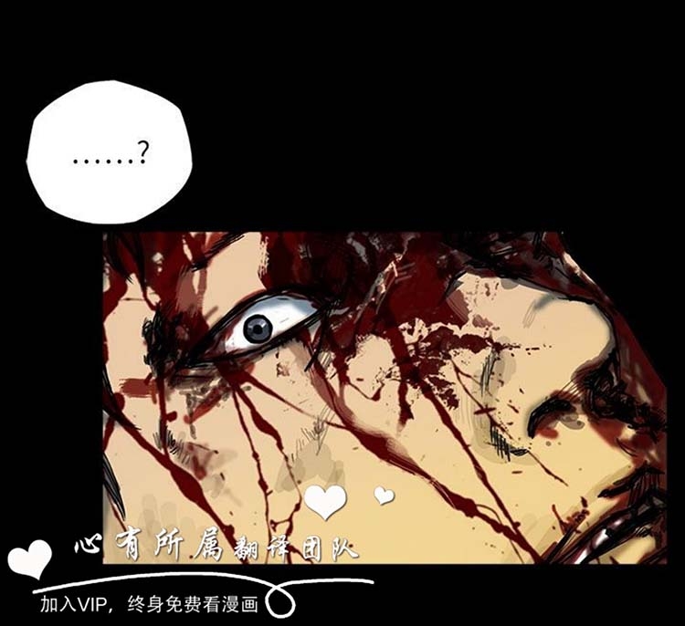 第29张