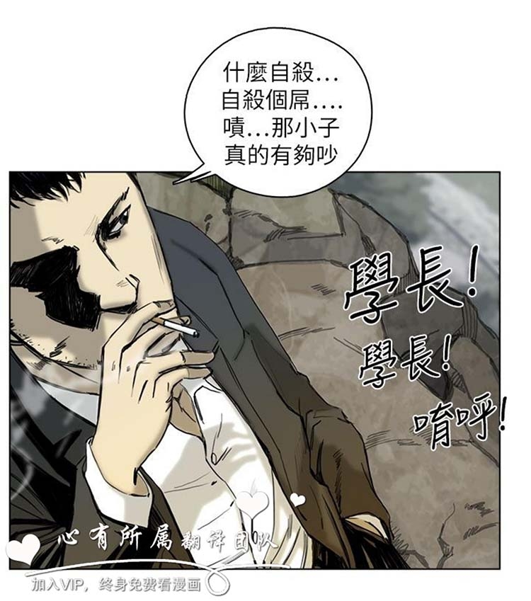 第29张