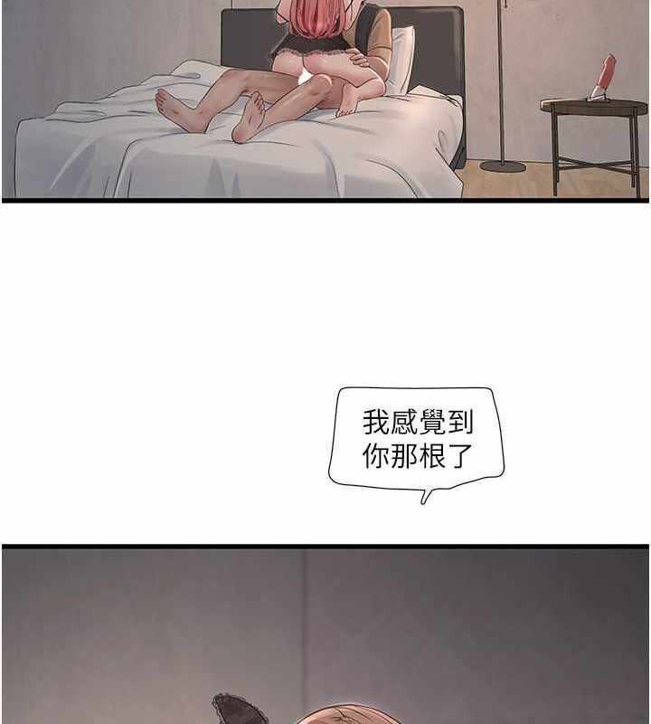 第24张