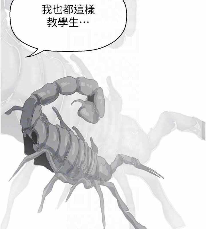 第53张