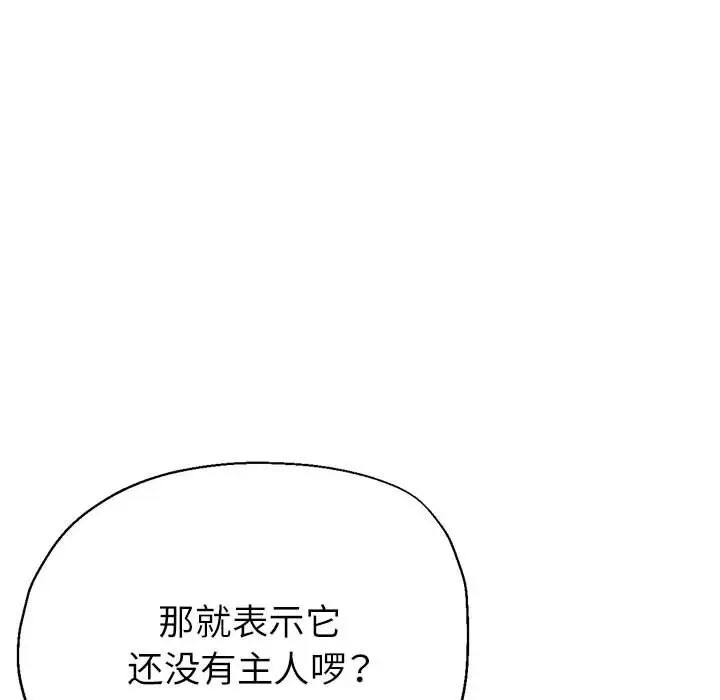 第145张
