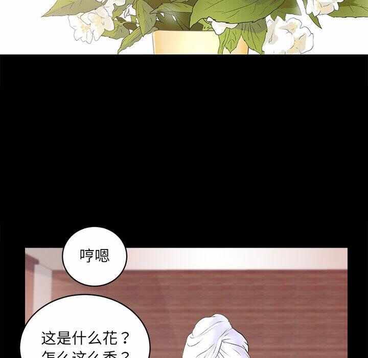 第231张