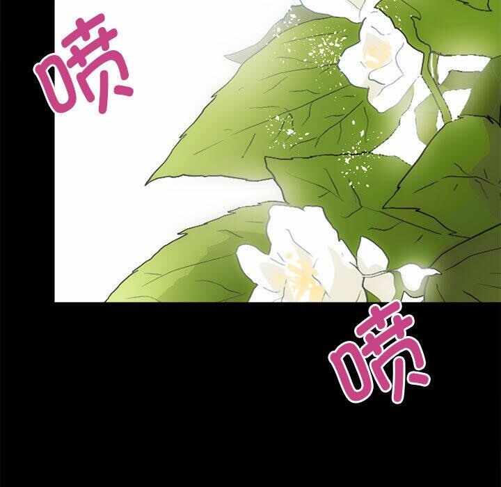 第43张