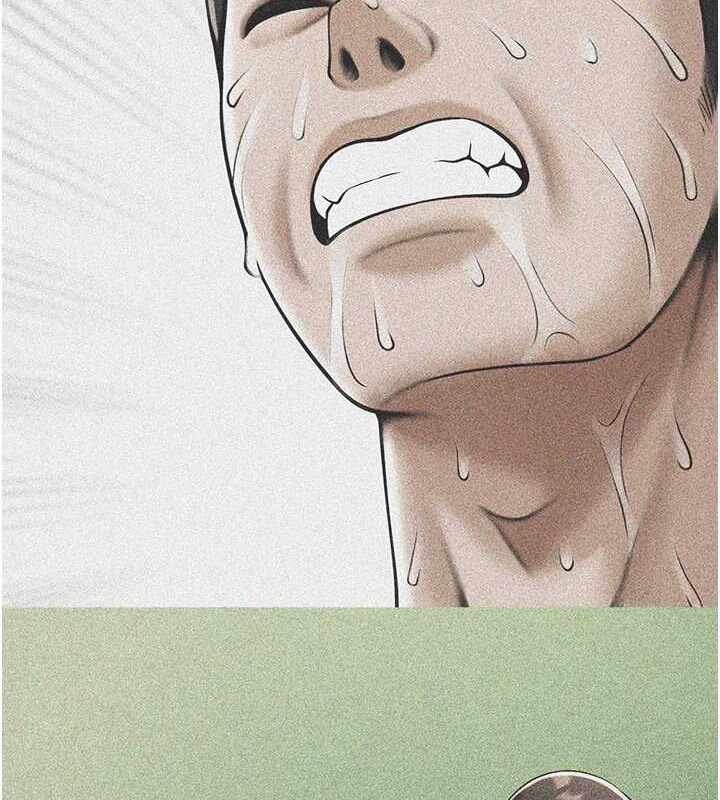 第66张