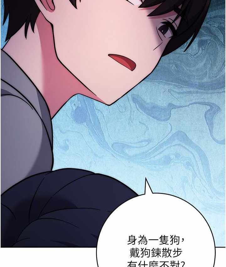 第54张