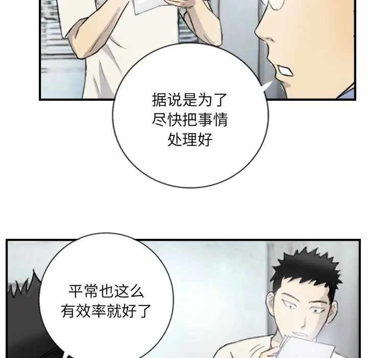 第33张