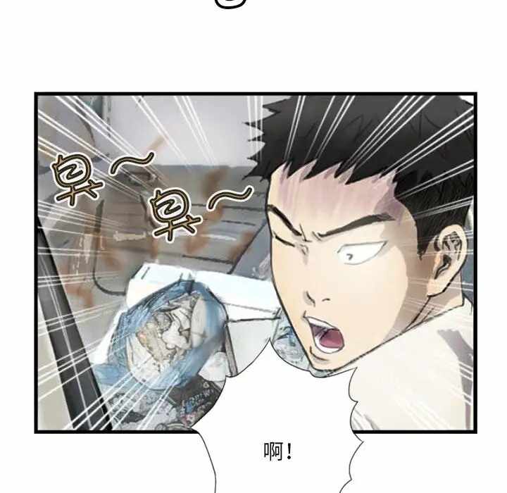 第41张
