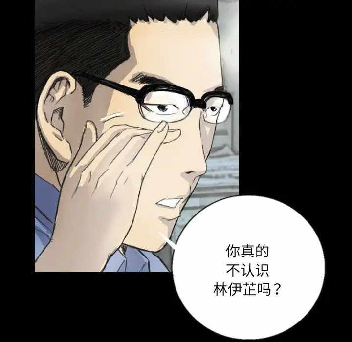 第51张