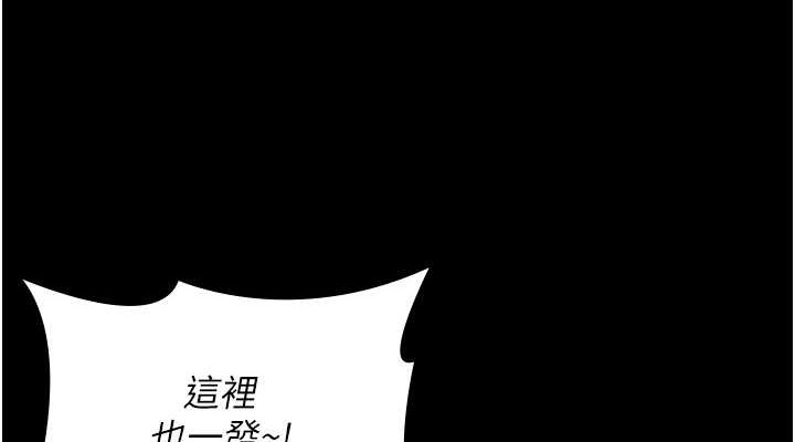 第11张