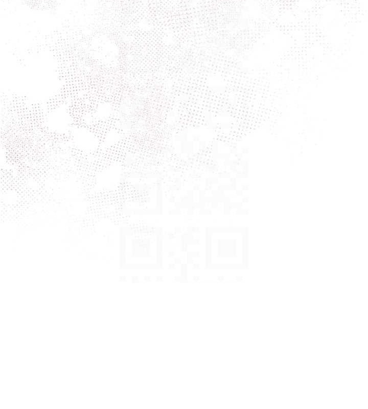 第46张