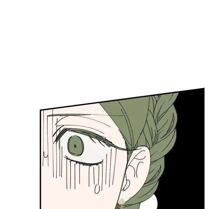 第41张
