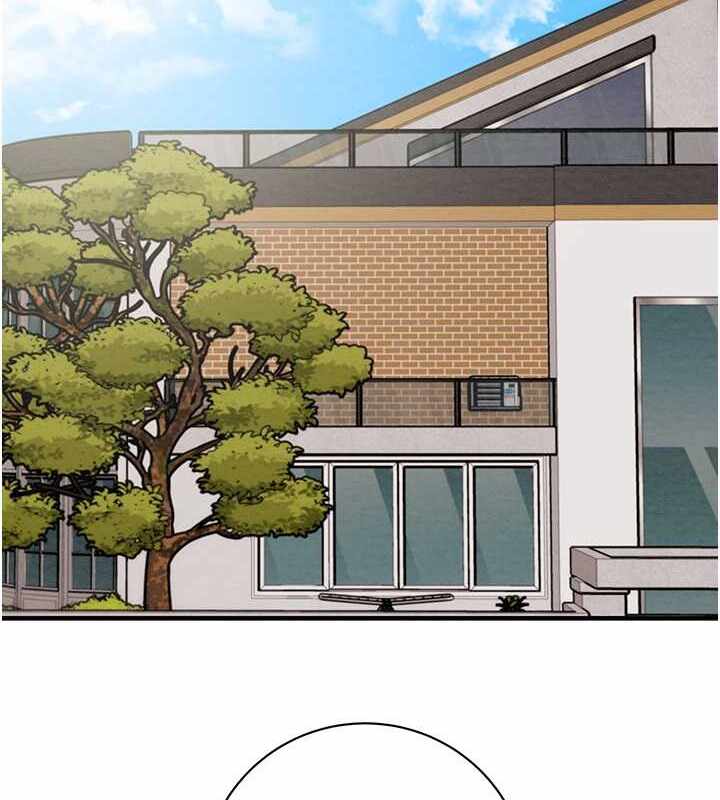 第215张