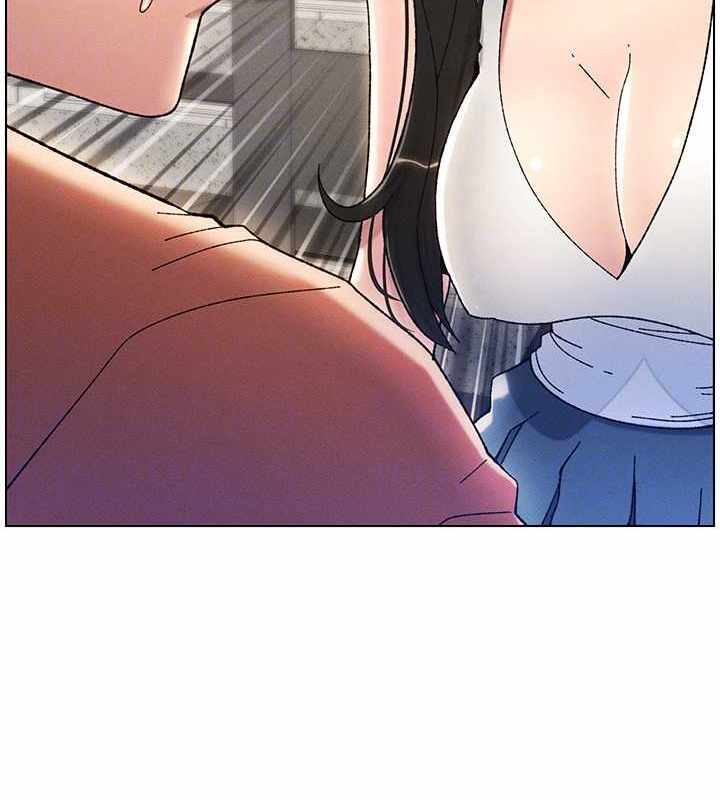 第48张