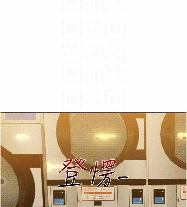 第86张