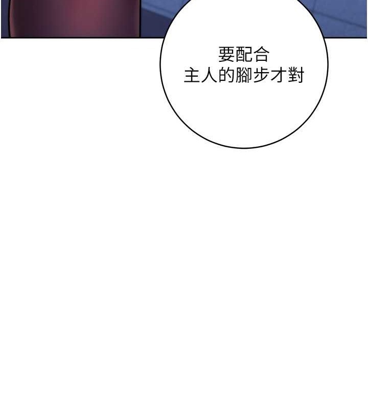 第64张