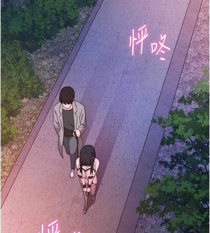 第106张