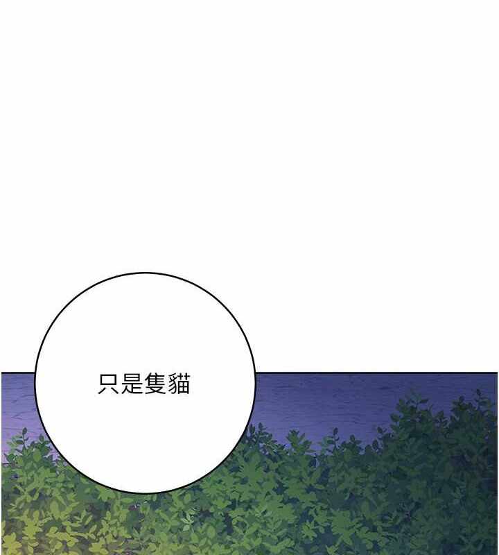 第150张