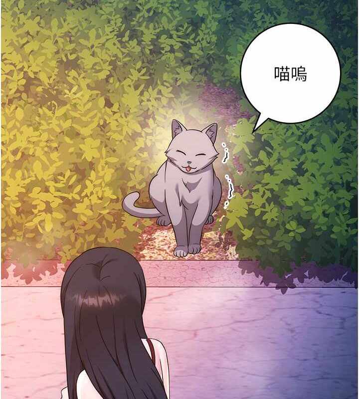 第151张