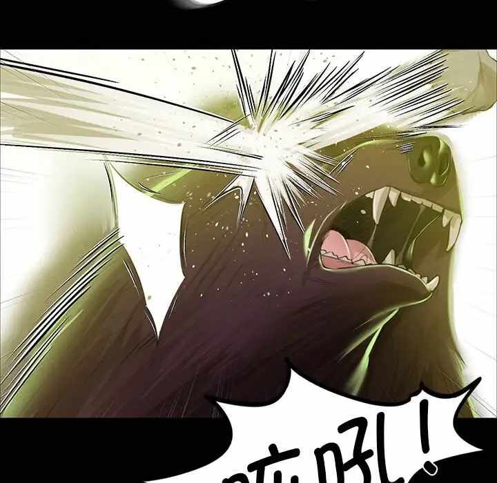第96张