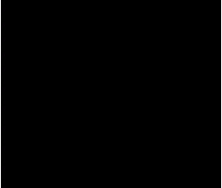 第126张