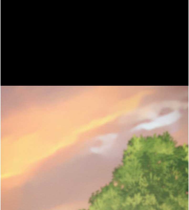 第117张
