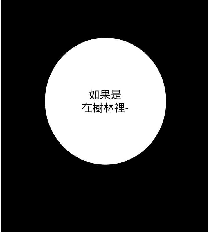 第33张