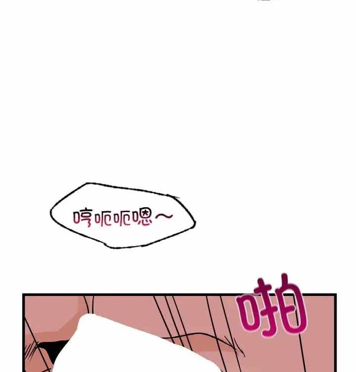 第37张