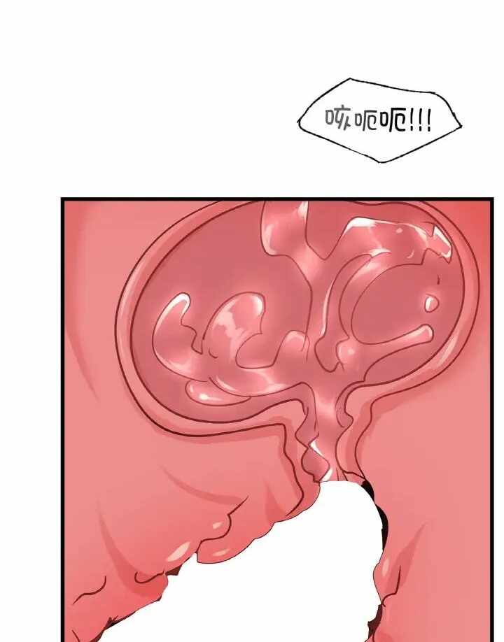 第47张