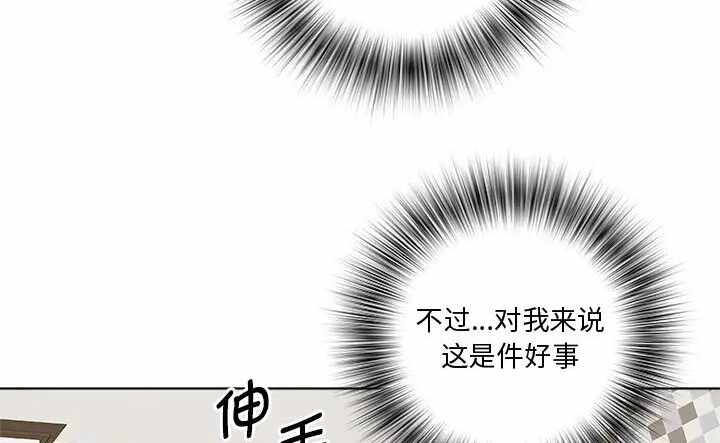第163张