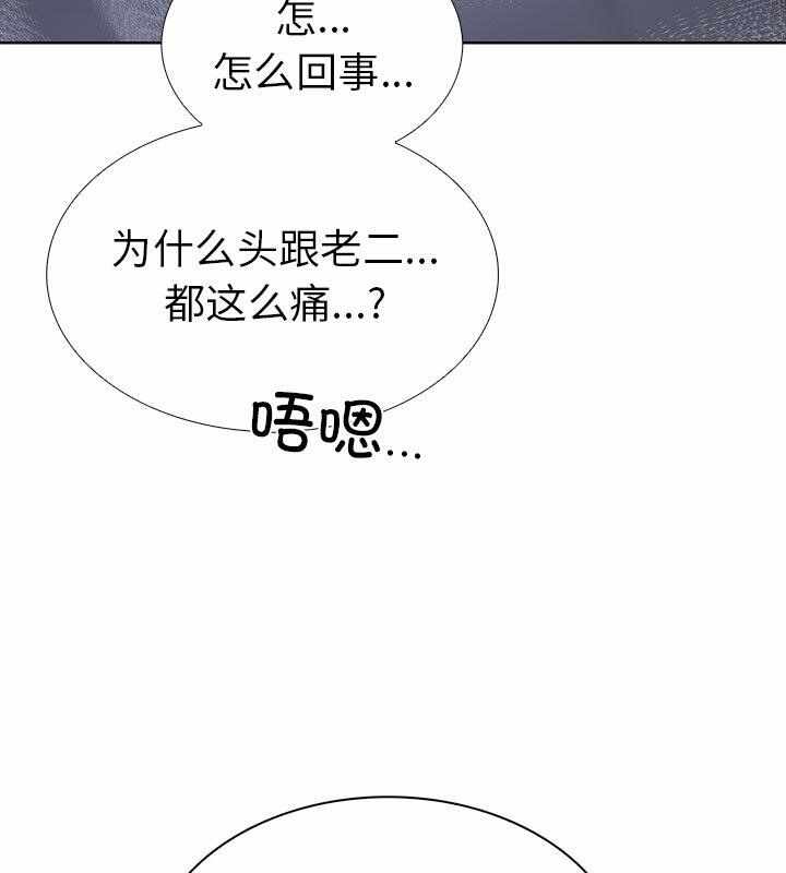 第5张