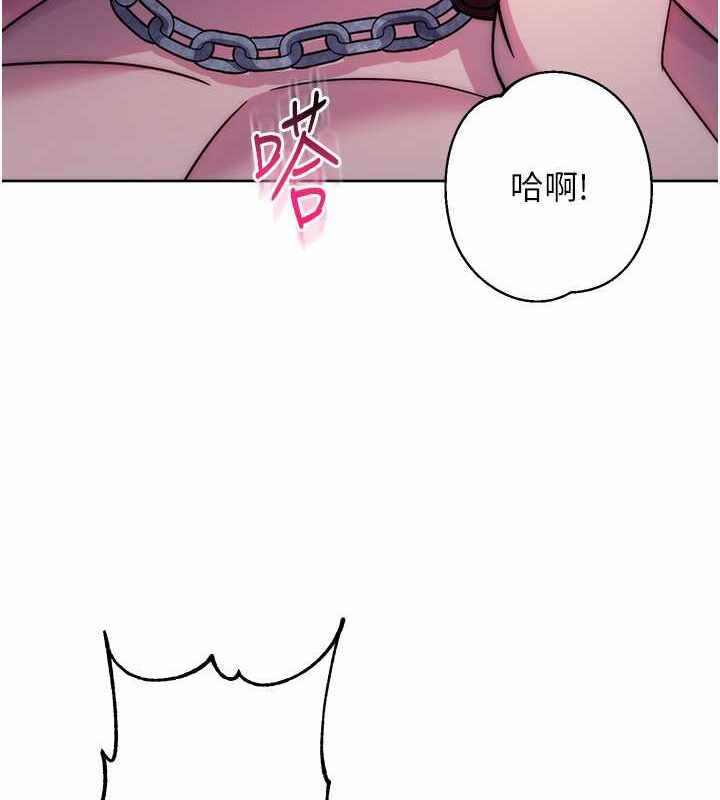 第41张