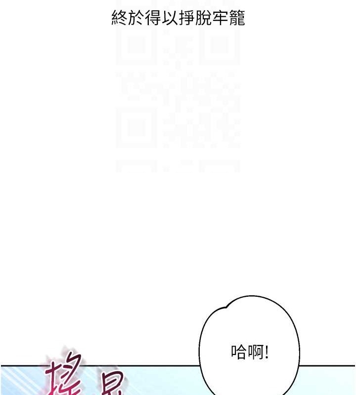 第17张
