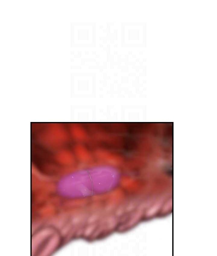 第47张