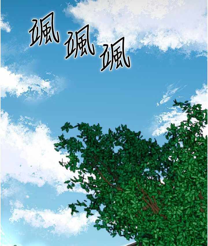 第4张