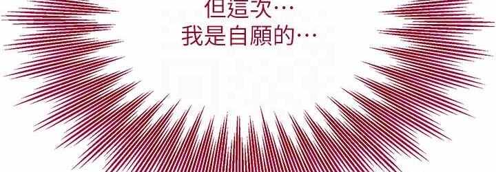 第116张